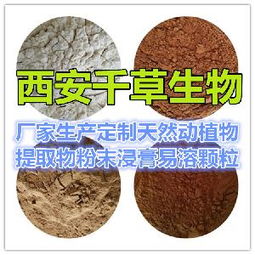 長粒花生 長粒花生價格 報價 長粒花生品牌廠家