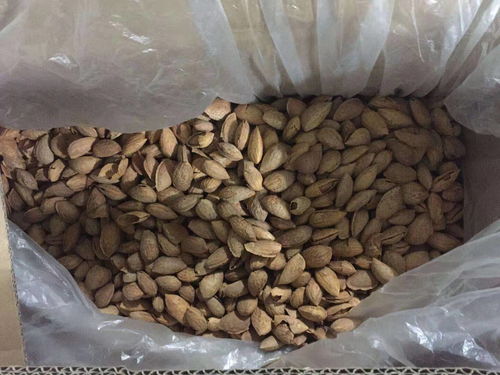 服務項目 臨期過期食品收購廠