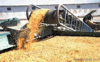 大批量收購大豆 顏楊水產 在線咨詢 收購大豆