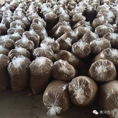 廢棄牛奶綜合高效利用